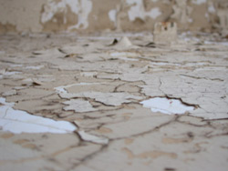 Fragile image 1