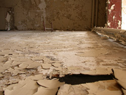 fragile 13