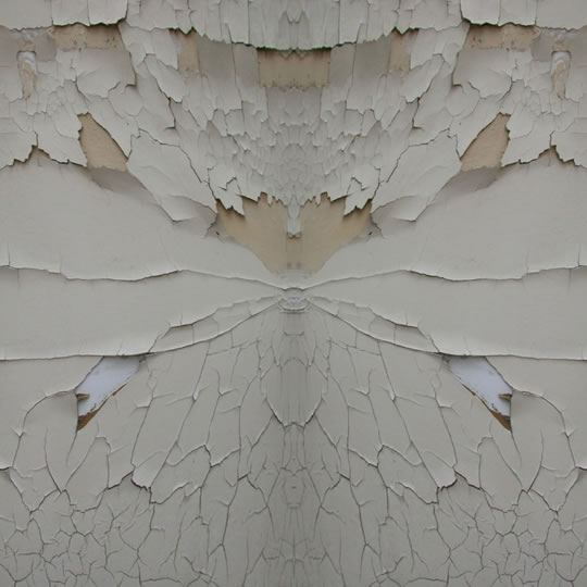 Fragile image