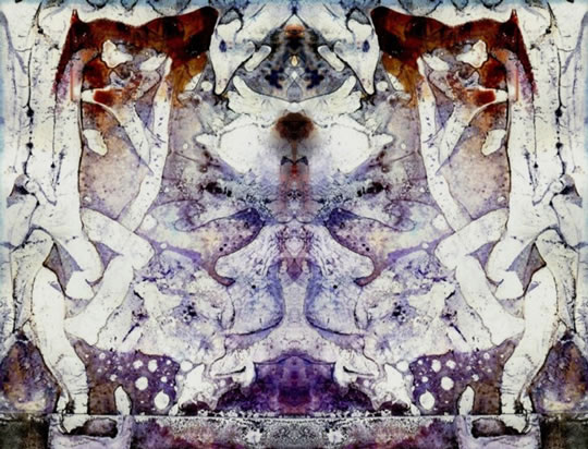 Portal 6